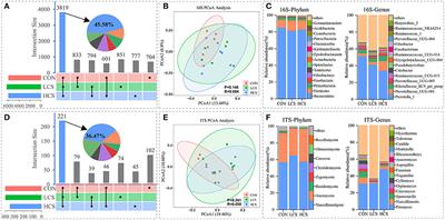 Cysteamine-supplemented diet for cashmere goats: A potential strategy to inhibit rumen biohydrogenation and enhance plasma antioxidant capacity